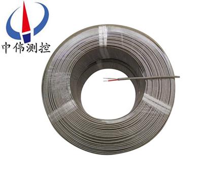 耐(nai)熱500℃儀錶(biao)專用線(xian)