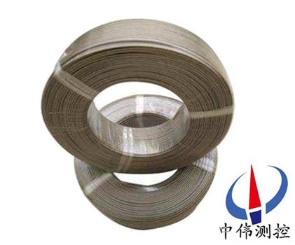 快(kuai)速(su)微(wei)型熱電偶用(yong)補(bu)償(chang)導(dao)線(xian)