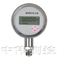 精(jing)密(mi)數字(zi)壓力(li)錶