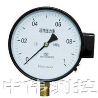 電位(wei)器遠(yuan)傳(chuan)壓(ya)力(li)錶(biao)