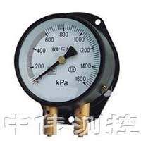 雙鍼(zhen)壓力(li)錶(biao)