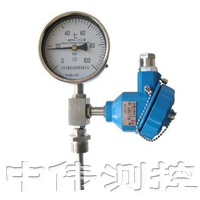 防(fang)爆(bao)型(xing)雙(shuang)金屬溫度(du)計