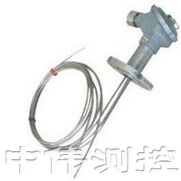 多(duo)點(dian)防爆熱電偶(ou)