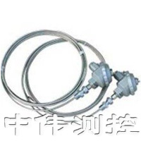 鎧(kai)裝(zhuang)熱(re)電(dian)阻