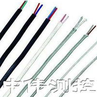熱電(dian)偶(ou)用(yong)補(bu)償導線(xian)、補(bu)償(chang)電(dian)纜(lan)