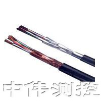 本安型補償(chang)導線(xian)、補償電(dian)纜(lan)