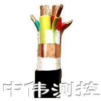 變(bian)頻(pin)器專(zhuan)用(yong)電(dian)纜(lan)