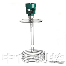 雙(shuang)桿式導波(bo)雷達(da)液(ye)位(wei)計(ji)